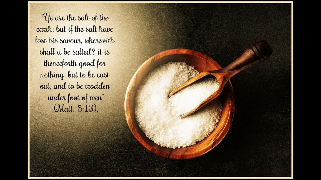 Salty Salt 