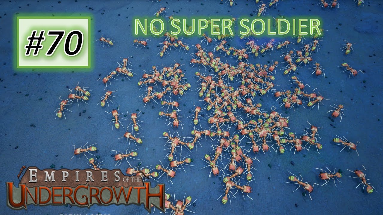 Empires of the Undergrowth #70:  Big Headed Ant but No Super Soldier