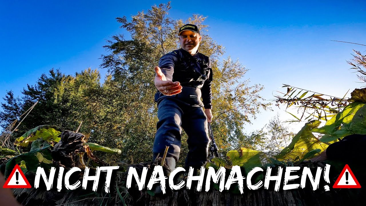 Barsche & Zander statt Brötchen 😜| Angeln ist mehr.