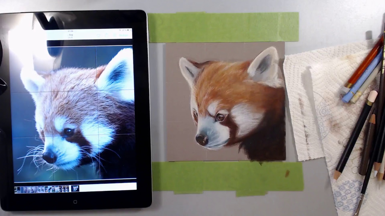 Coloured Pencil Livestream! | Red Panda real-time process
