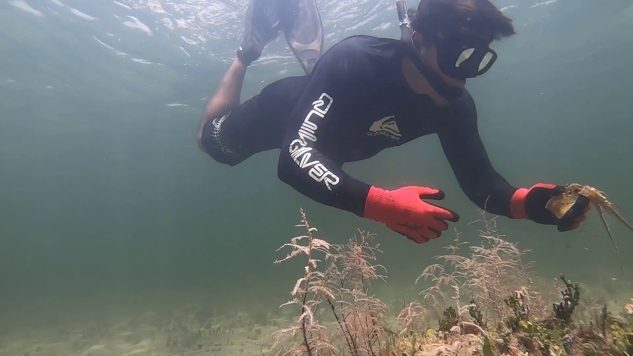 Snorkeling Key Biscayne Crandon Beach