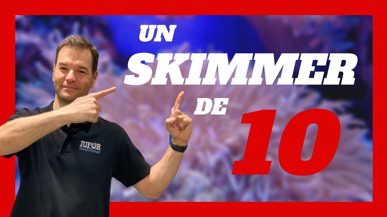 Skimmer Súper Silencioso 🤫