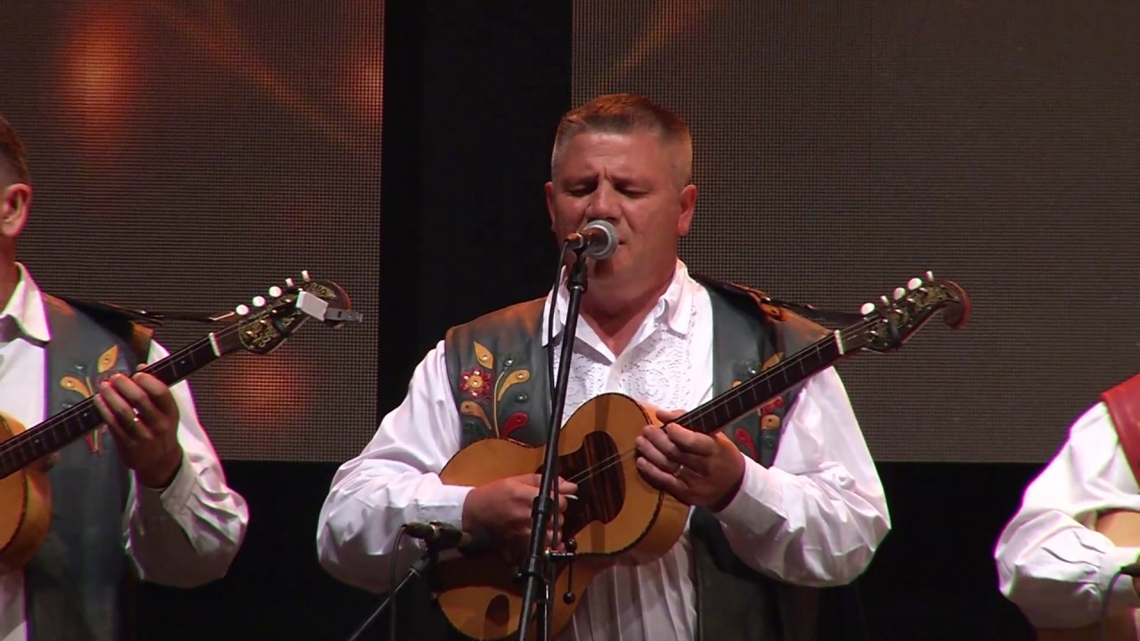 Zlatne žice Slavonije 2018 - BERDE BAND – Sanjam da mi pripadaš