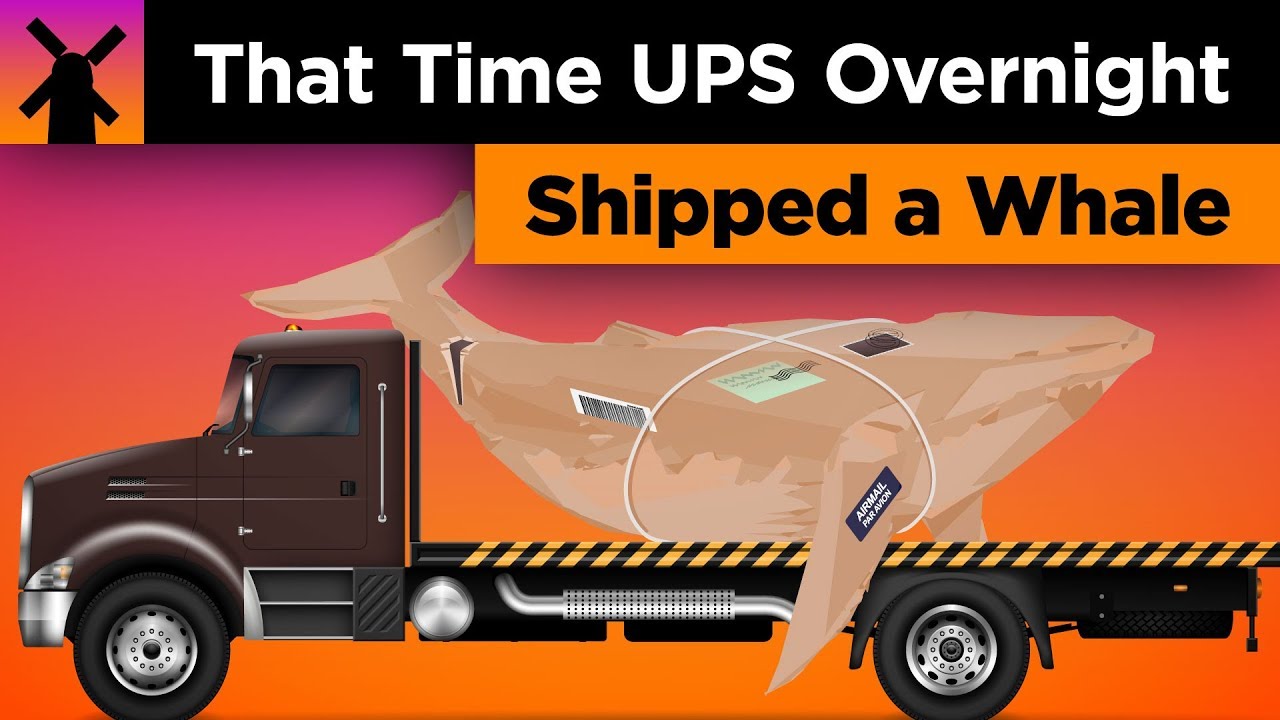 That Time When UPS Overnight Shipped a Whale in the Mail
