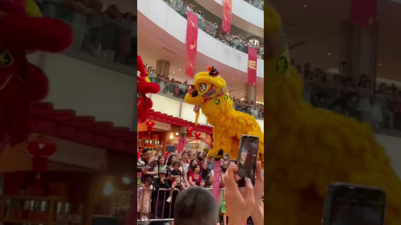 Lion Dance 2025 at 1Utama #liondance #cny2025 #1utama #liondance2025
