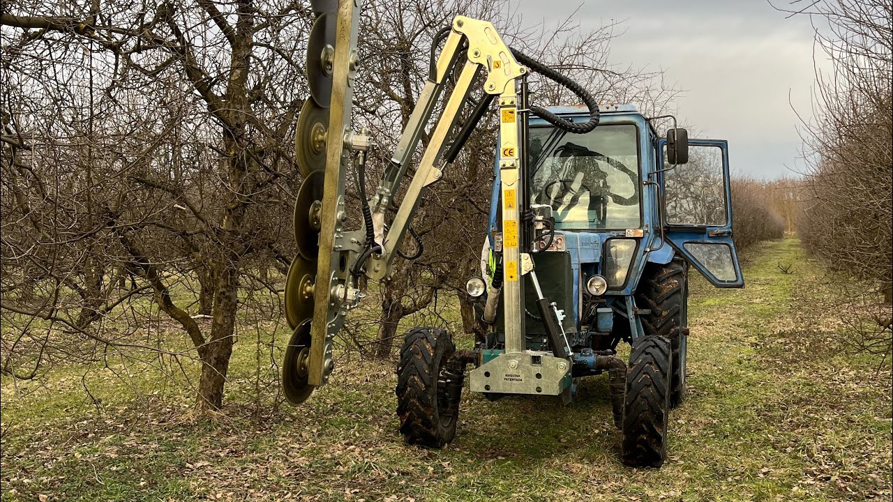 Mtz 82 / almafák metszése géppel.