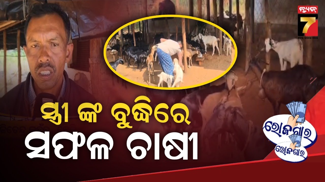 ROJGAR | ସ୍ତ୍ରୀଙ୍କ ବୁଦ୍ଧିରେ ସଫଳ ଛେଳି ଚାଷୀ | Goat Farming & Business Ideas | Jitendra Kanhar,Kandhaml