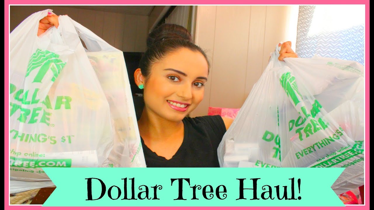 HUGE Dollar Tree Haul!