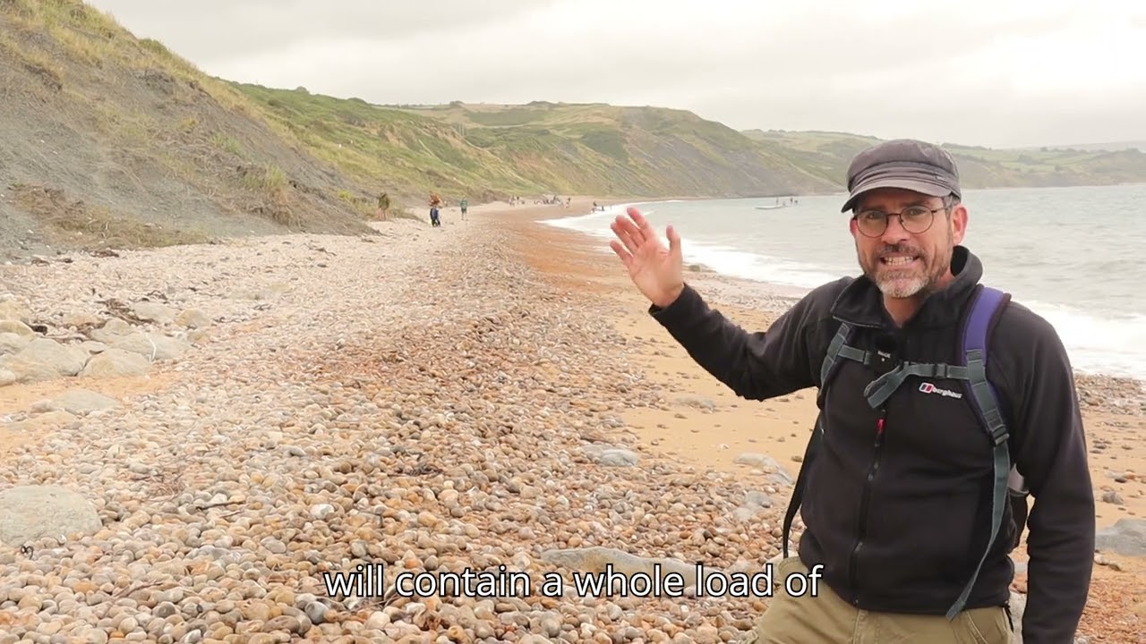 Ham Cliff Global Stratigraphic Section & Point GSP candidate.