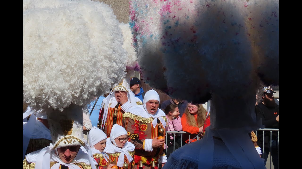Carnaval à Ecaussinnes 2025 1