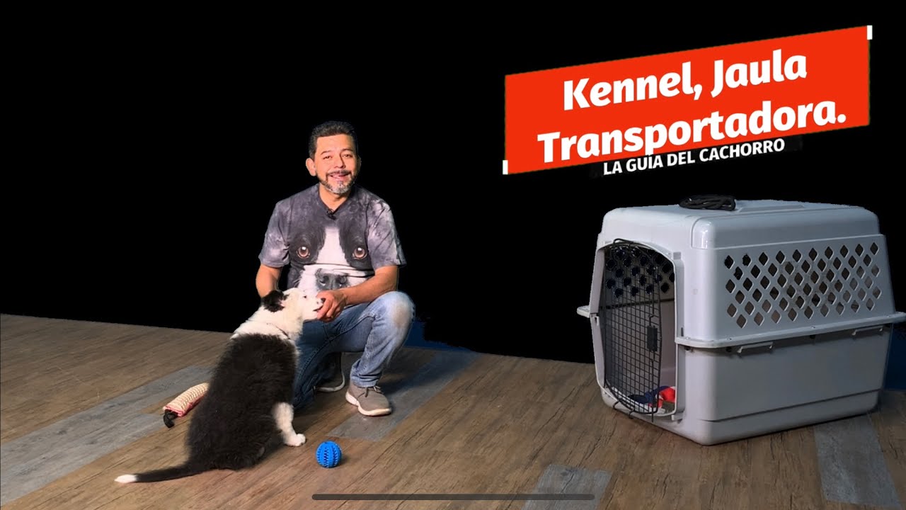 JAULA, KENNEL, TRANSPORTADORA, TRANSPORTIN, es bueno usarlo con mi perro ? El Croqueton