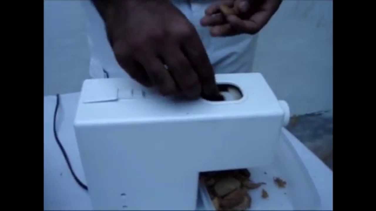 Robito almendra - Pelamatic SL