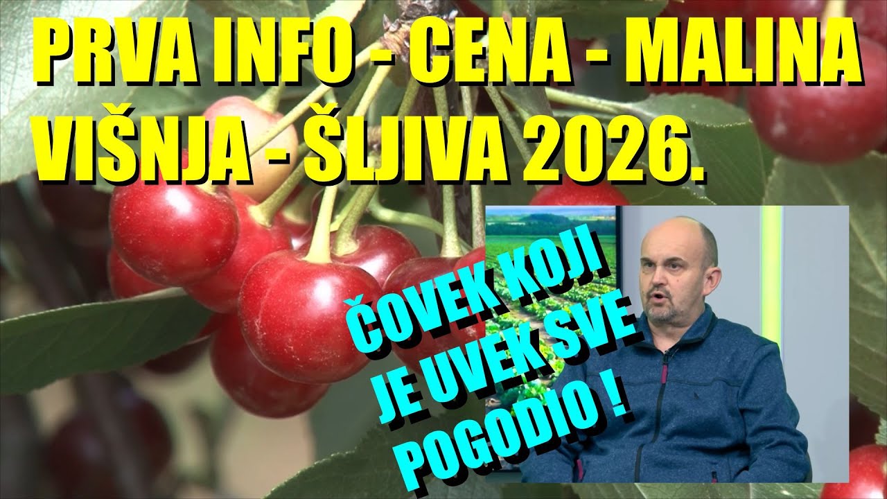 Već se nazire ŠTA ĆE SE DEŠAVATI s cenom MALINE - VIŠNJE - KUPINE u 2026. - OVAJ ČOVEK ZNA !
