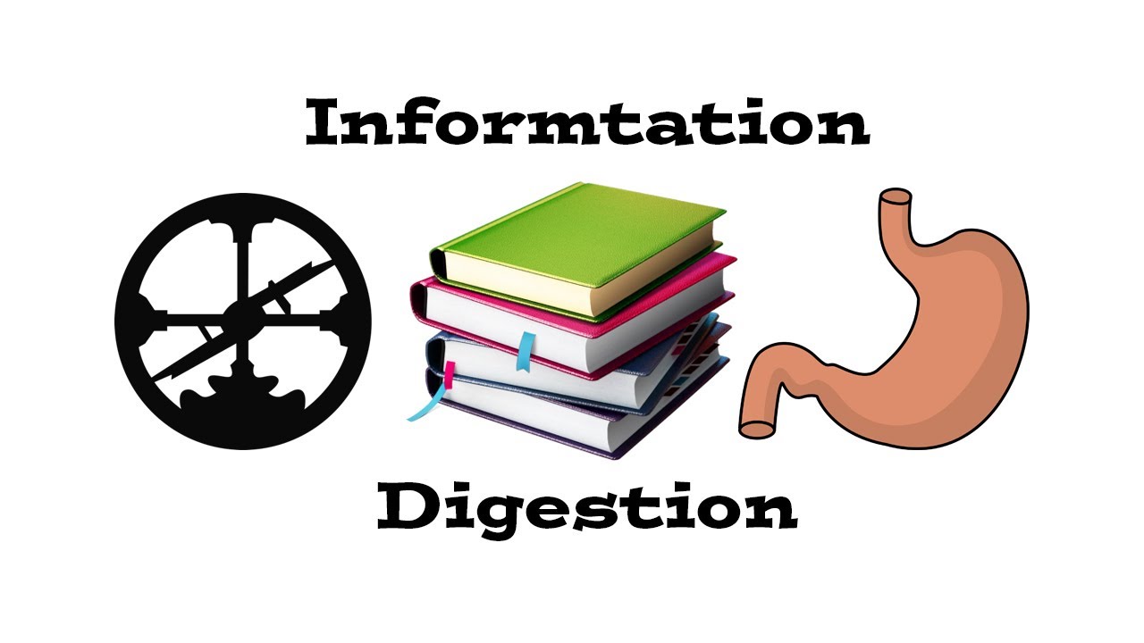 How I Digest Information with Roam Research