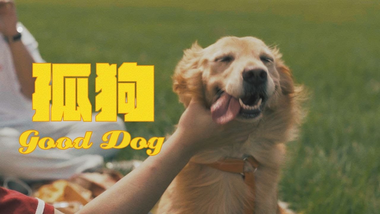 SONNIE 桑尼〈 孤狗 Good Dog 〉Official Music Video