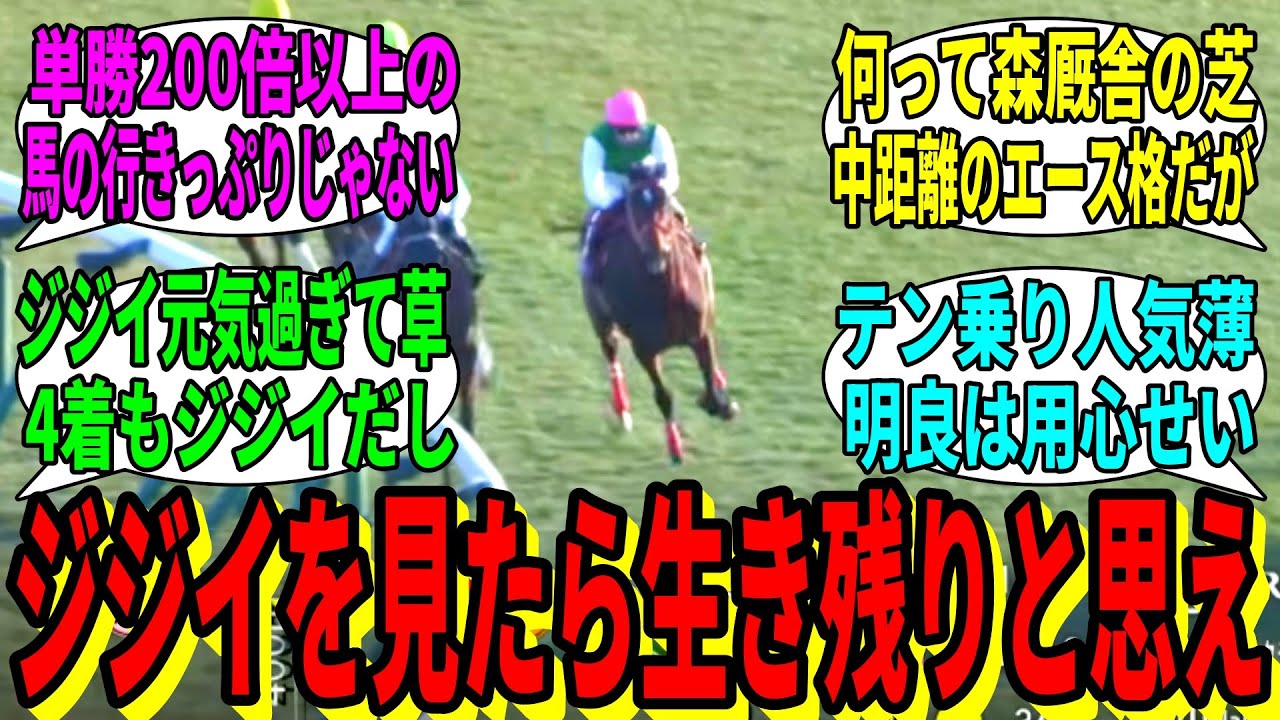 【競馬の反応集】「エヒトとかいう9歳で馬券になる謎のおっさん馬」に対する視聴者の反応集