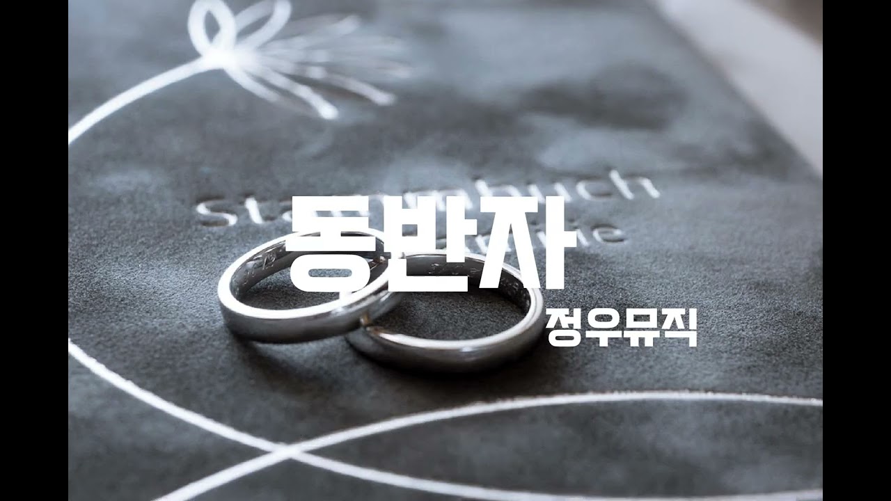 내 옆을 지켜준 그대 l 동반자 - 정우뮤직 l