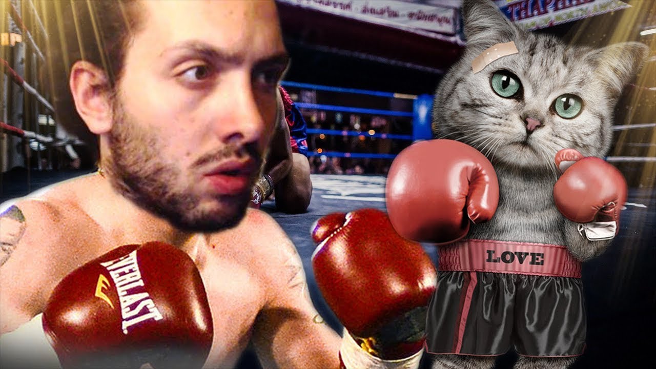 KÖTÜ ADAMLAR KEDİMİ KAÇIRDI | PUNCH CLUB