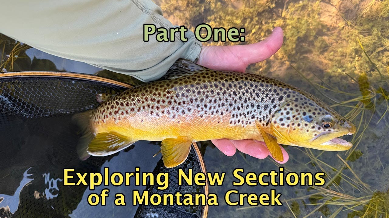 Part 1: Exploring New Parts of a Montana Creek with the Ragnarok 400 Tenkara Fishing Rod