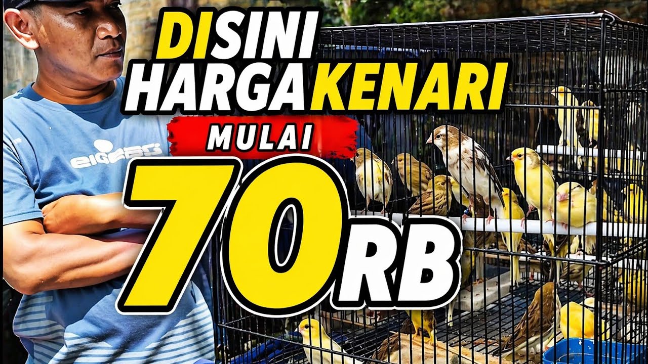 VLOG PASAR‼️Disini KENARI MELIMPAH harga mulai 70rb...