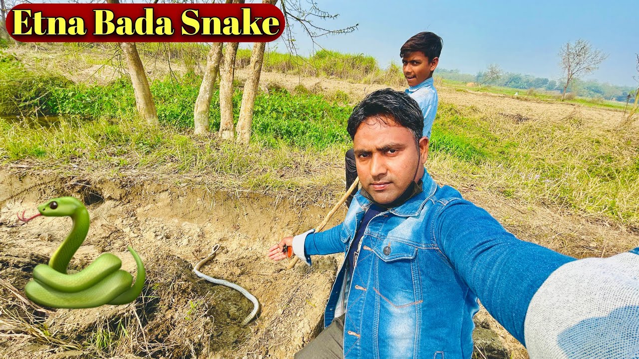 Etna Bada Snake😍 Dekh Li