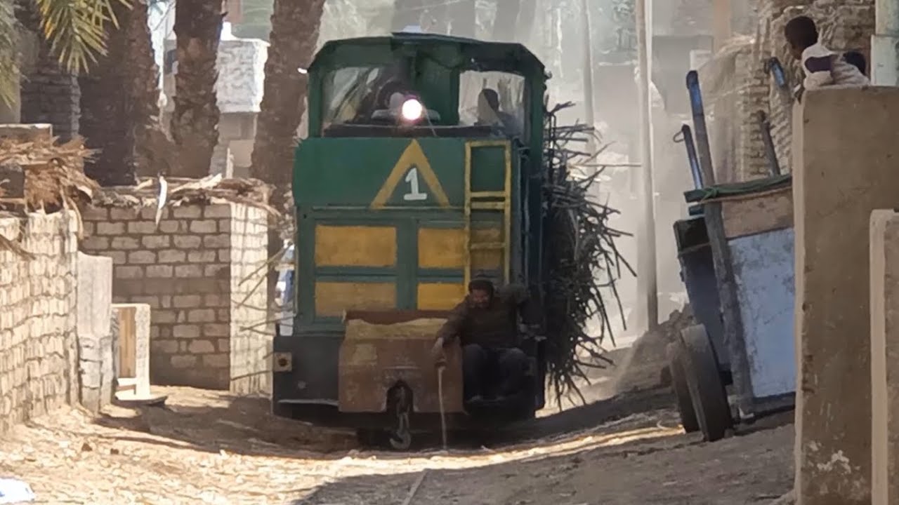قطار قصب السكر لن تراه الا في صعيد مصر Egyptian Sugar Cane Railway