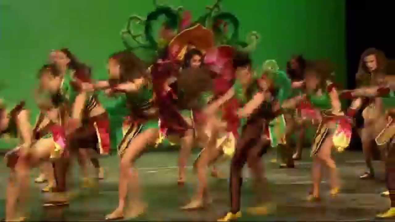 Presentación de la reina del Carnaval 2015 Yecla. LDC.