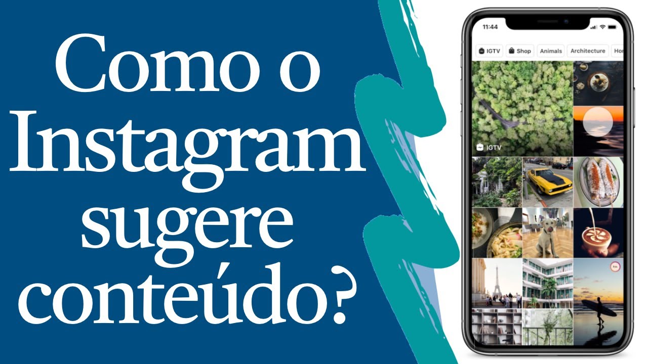 Como o Instagram 📱sugere uma foto 📷 ou vídeo 🎥 para você? | Deep Learning | Leonardo F. R. Ribeiro