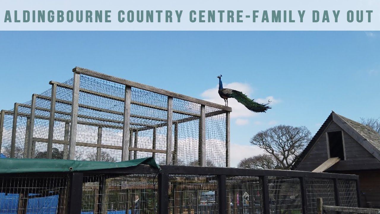 Aldingbourne Country Centre West Sussex - family day out
