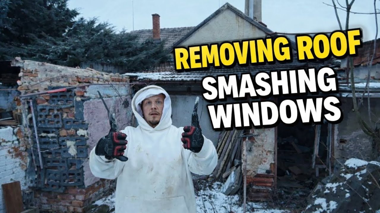 Roof Removal & Old Window Demolition | Cleanup