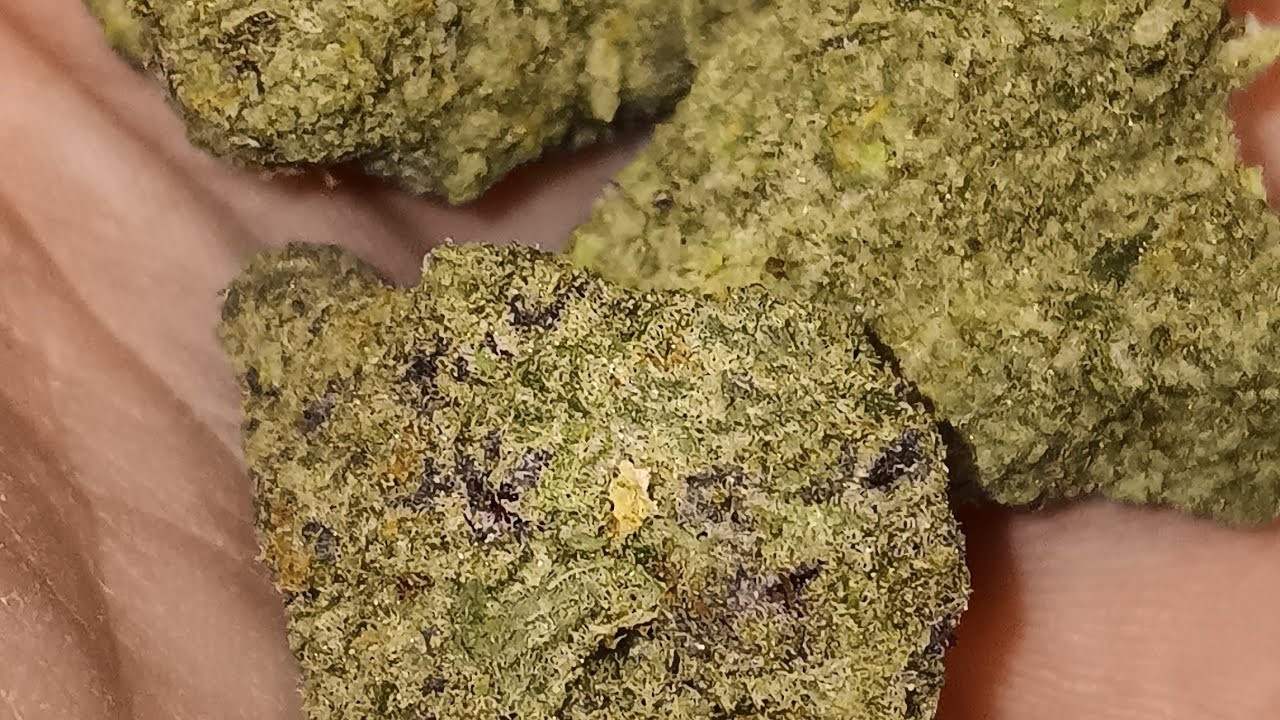 LEMON G 🍋 IS ONE OF THE BEST THINGS IVE HAD THIS YEAR 👌