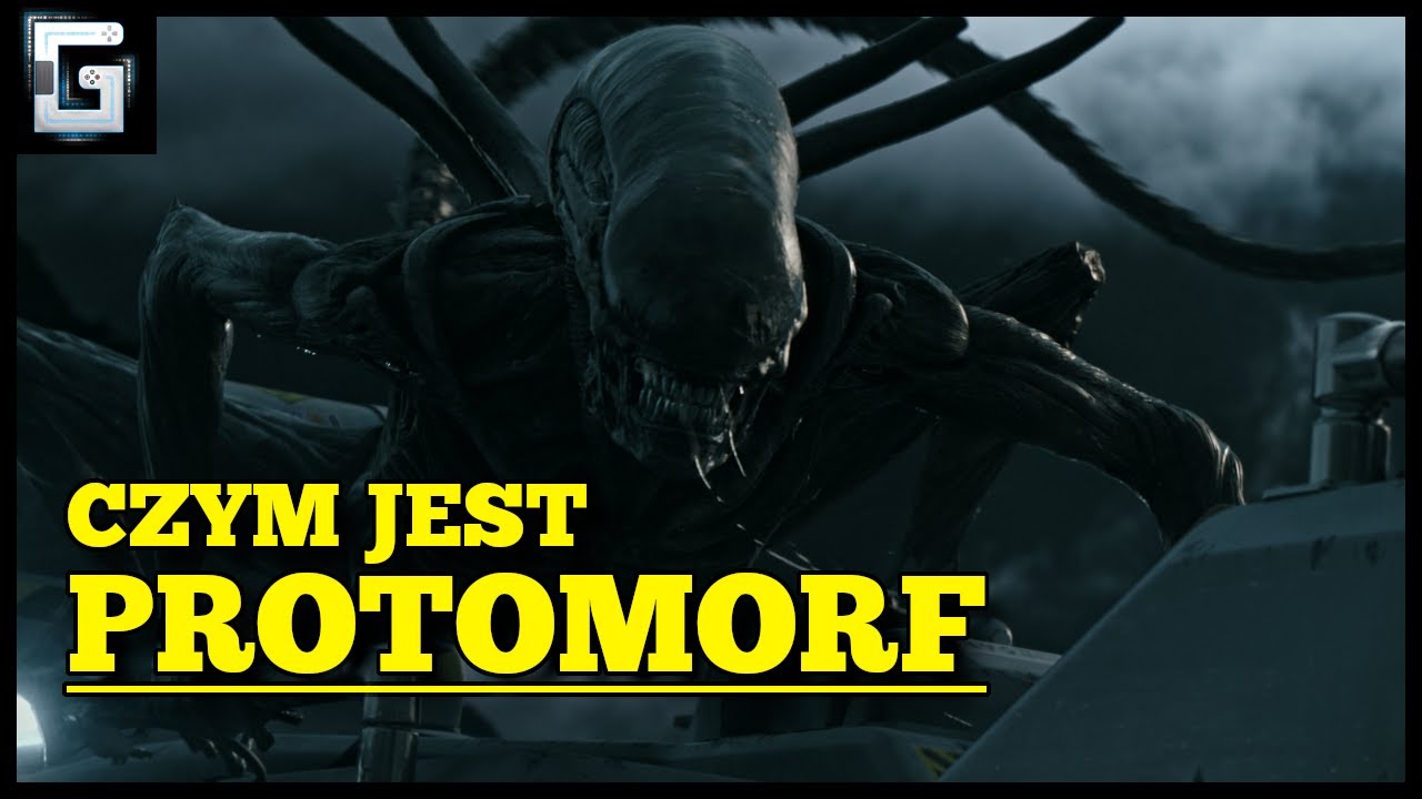 Czym jest Protomorf?