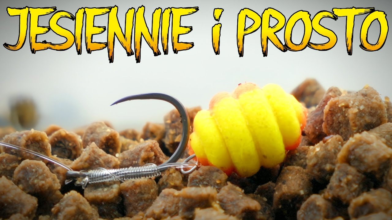 JESIENNIE i PROSTO - Method Feeder im DALEJ TYM LEPIEJ - Wędkarstwo Jesienią