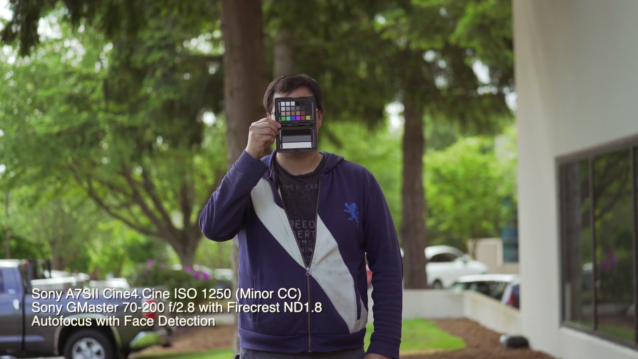 Sony A9 4k Video Autofocus Test vs. Sony A7SII