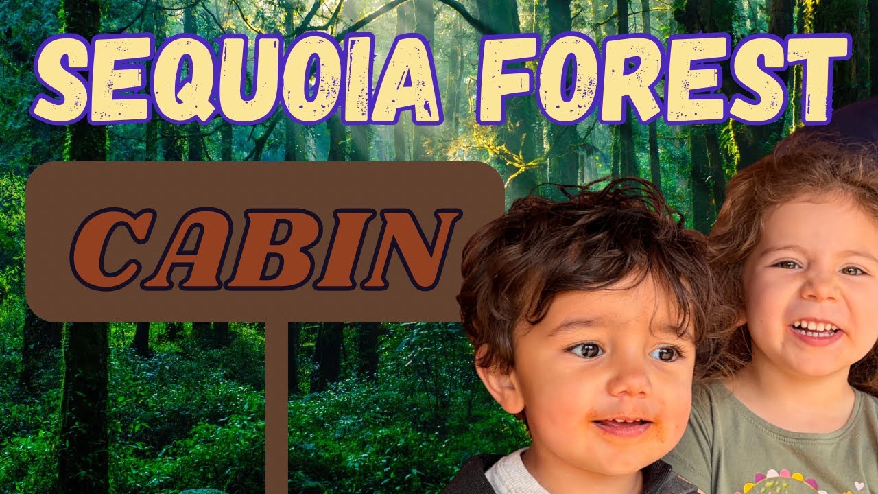 Abby visits a CABIN in the SEQUOIA NATIONAL FOREST