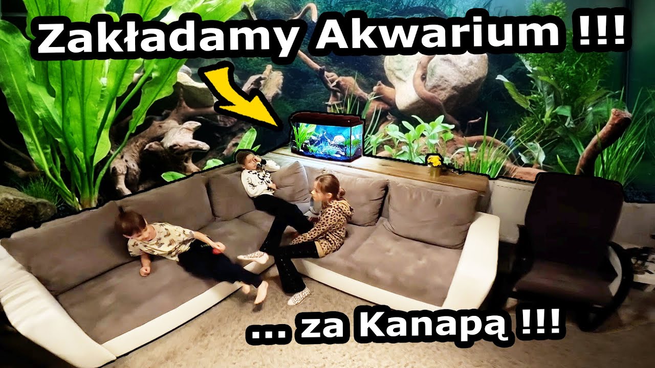 Akwarium z Rybkami !!! - Zakładamy po 1,5-rocznej Przerwie !!! *Rośliny wodne i Korzenie (Vlog 922)