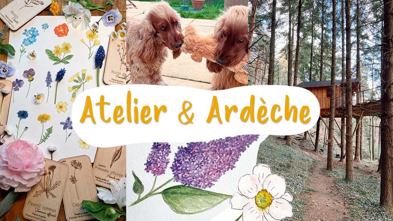 Vie à l'atelier, 2ème cocker et virée en Ardèche #VLOG40