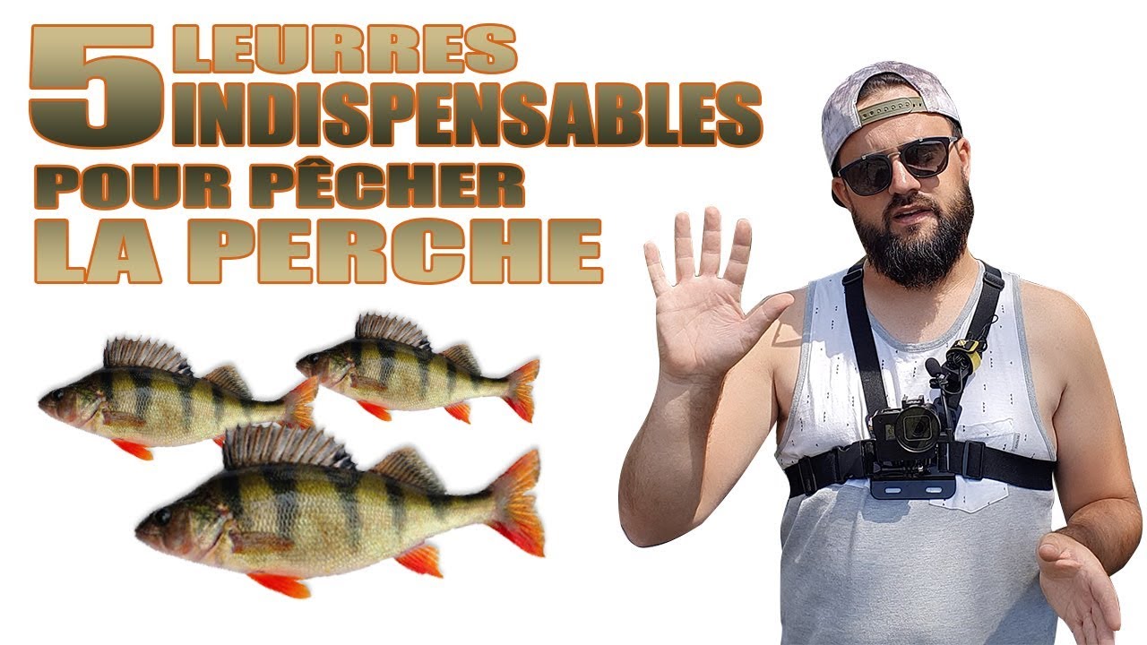 DÉBUTANT 2 PÊCHE #8 : 5 LEURRES INDISPENSABLES pour PÊCHER la PERCHE