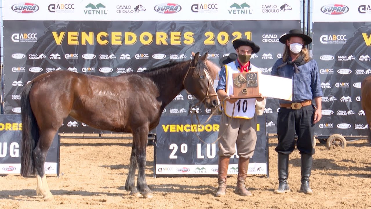 Mangaba da Timba&uacute;ba - 1&ordm; Lugar no Doma de Ouro 2021