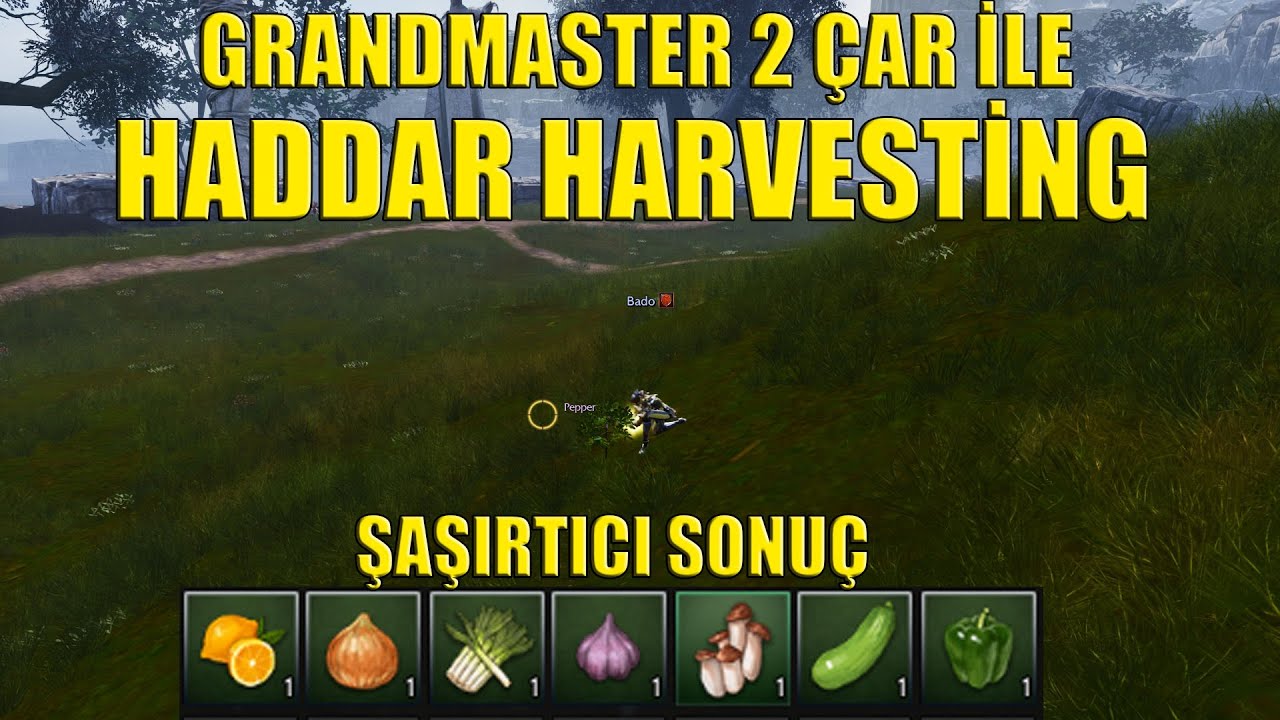Haddar'da Grandmaster 2 Çar ile HARVESTİNG FARM | Rise Online Toplayıcılıkla Para Kasma Rehberi