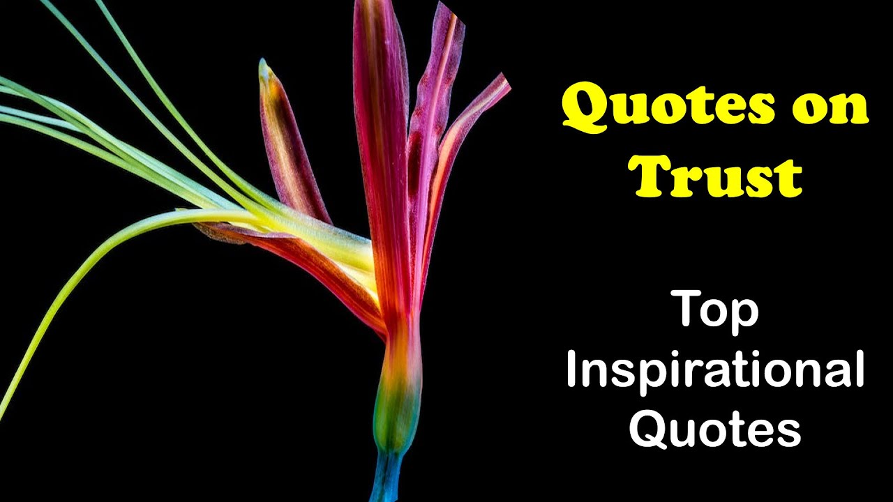 Quotes on Trust | Inspirational quotes