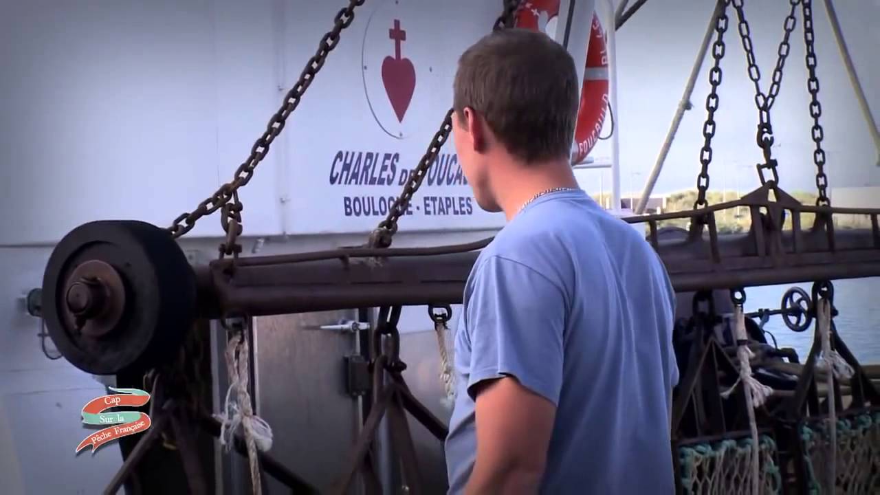Cap sur la pêche française   Emission n°9   La coquille saint Jacques à Boulogne sur mer