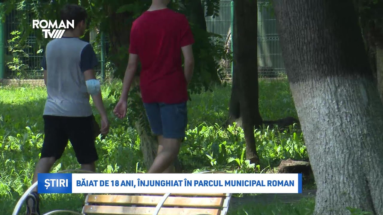 Băiat de 18 ani, înjunghiat în Parcul Municipal Roman