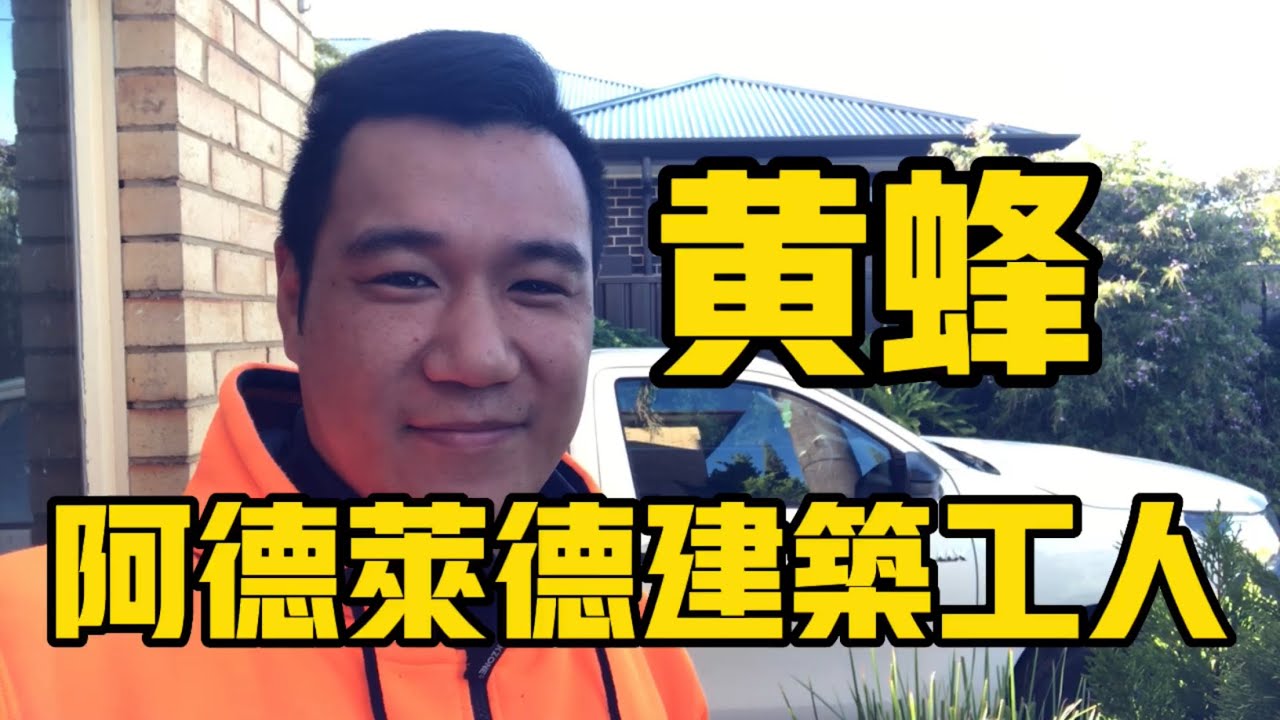 澳大利亚阿德莱德建筑工人黄蜂|分享阿德莱德室外建筑工作及生活娱乐