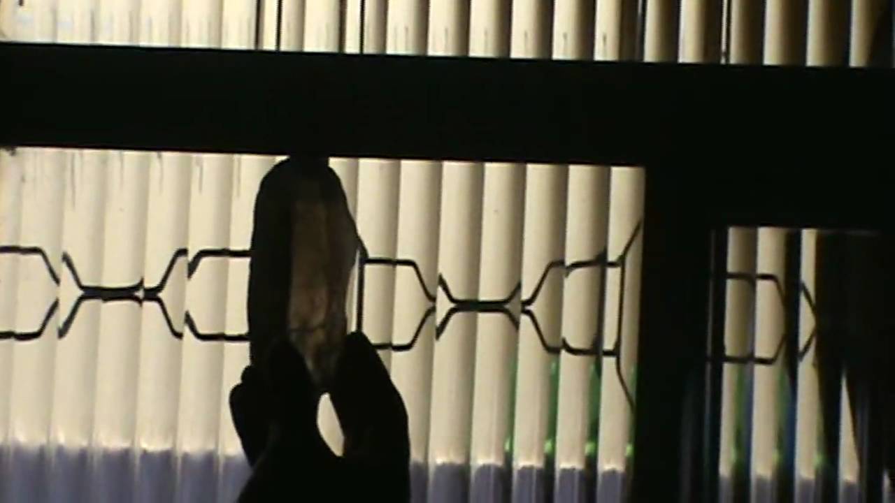 Sinais de Nossa Senhora de Piedade