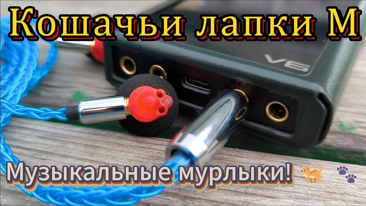 Кошачьи лапки M - Музыкальные мурлыки! 🐈 🐾