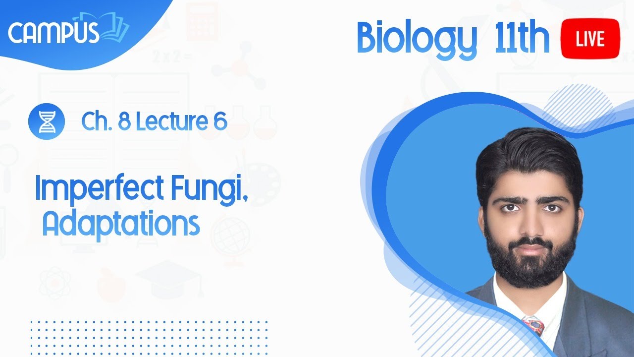 11th Biology Live, Ch 8, 6- Importance of Fungi - 11th Biology book 1 live