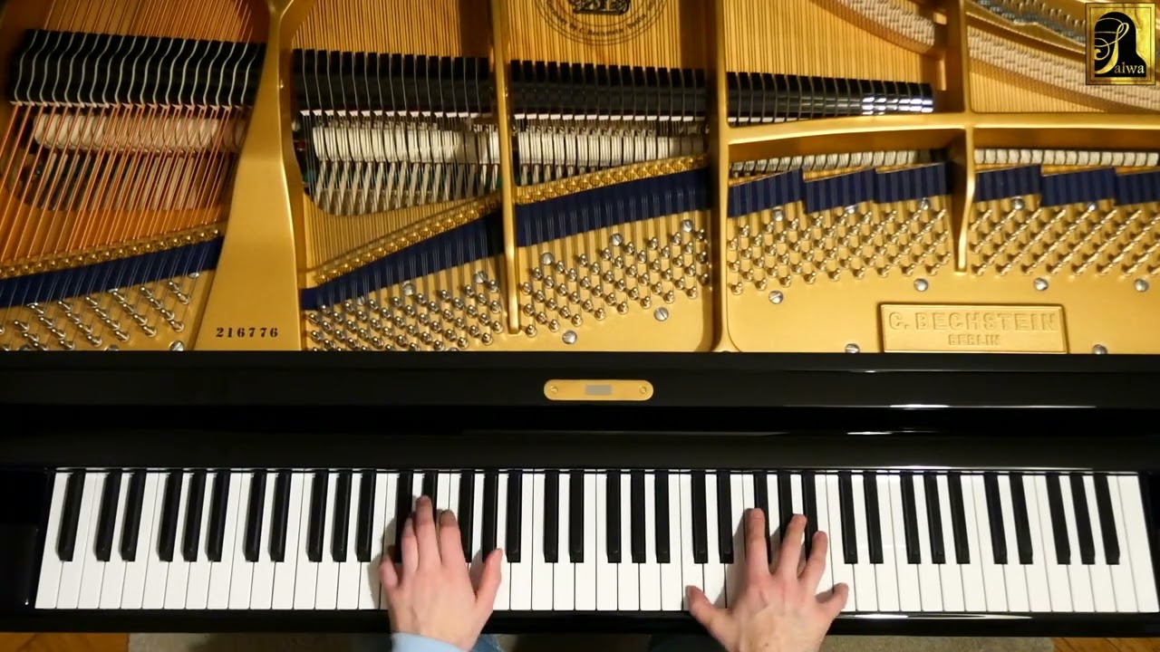 Zwölf Valses nobles Nr.5 Schubert D969 C.Bechstein A228