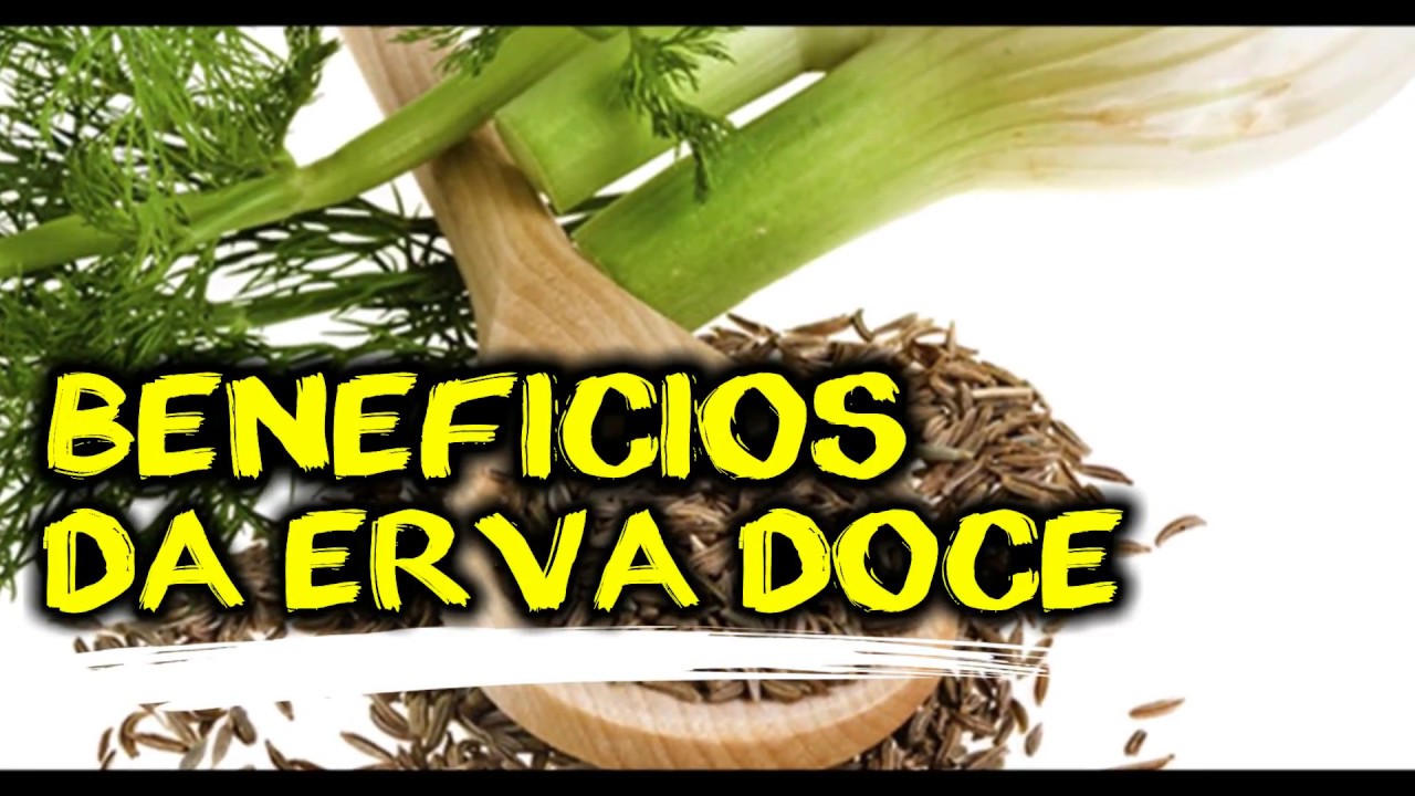 CONHEÇA OS BENEFICIOS DO CHÁ DE ERVA DOCE PARA O CORPO  (POR FERNANDO COUTO)