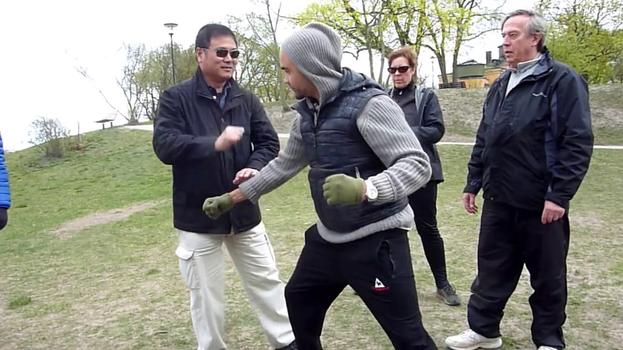 Sifu Lu Baochun of the Baji Association Finland teaching yang style applications in Stockholm